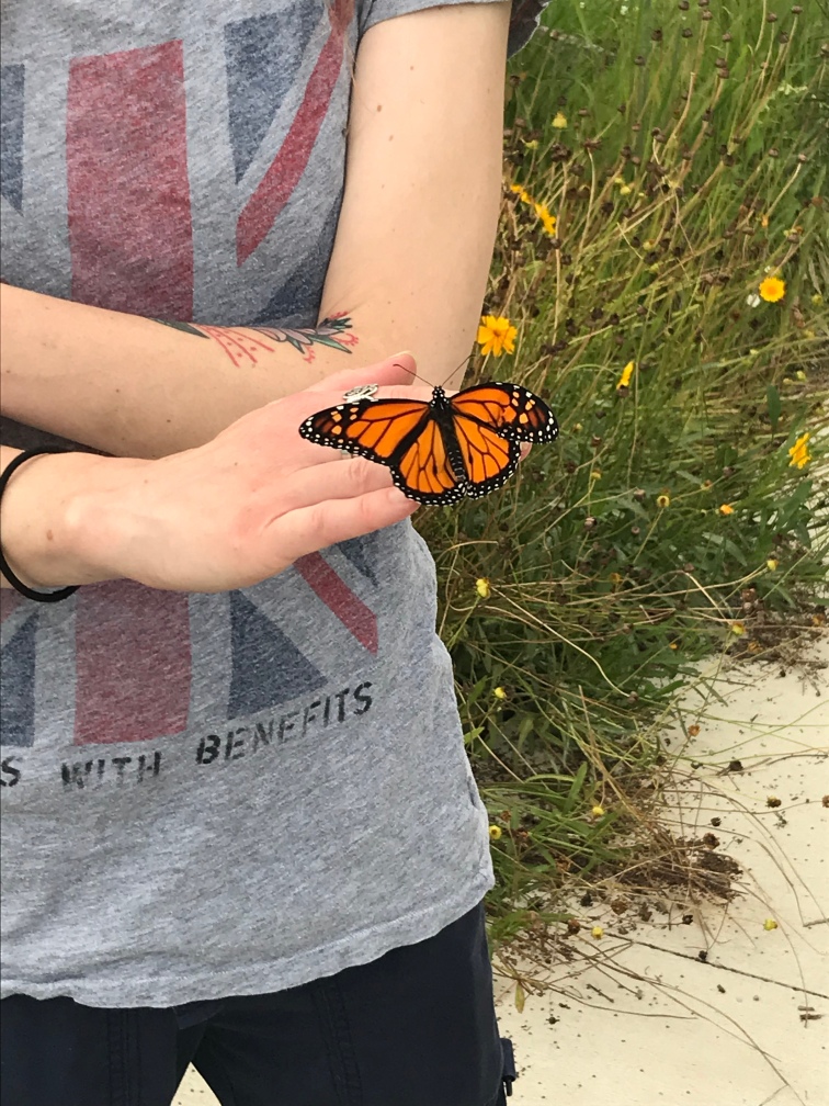 Torso shot, Union Jack tee shirt that reads “Friends with Benefits” and a monarch hanging out on my hand.